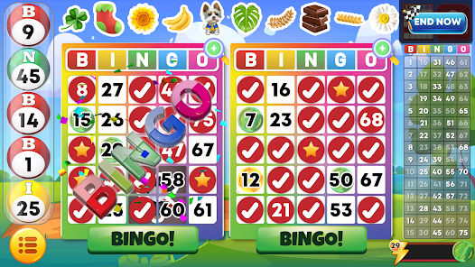 Bingo Games